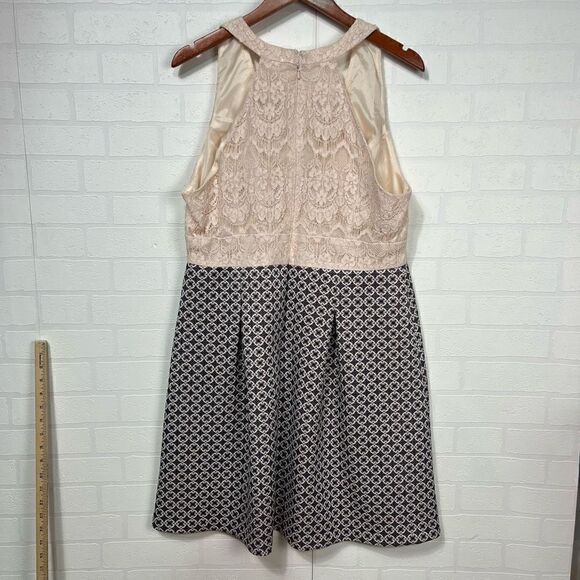 Adrianna Papell Cream and Black Lace Dress - Picture 7 of 15